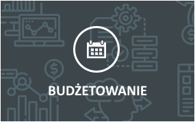 systemy do budżetowania