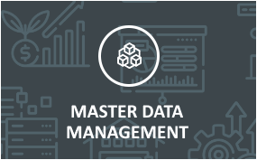 master data management