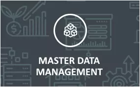 master data management