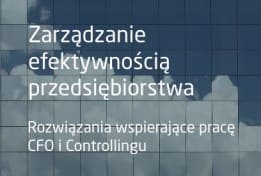 CFO w chmurze - zarządzanie efektywnością