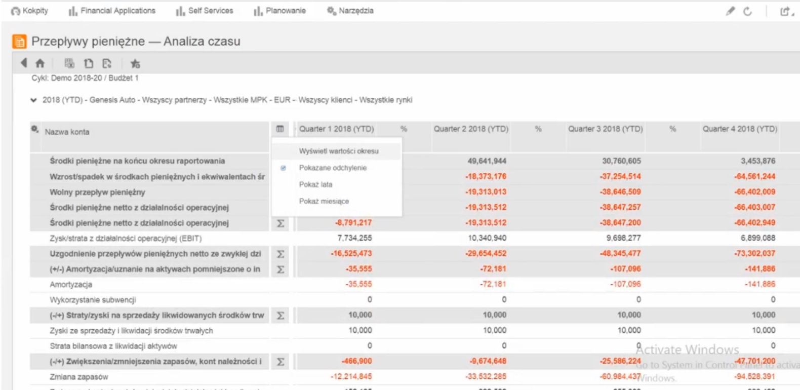 Infor EPM - analiza cash flow